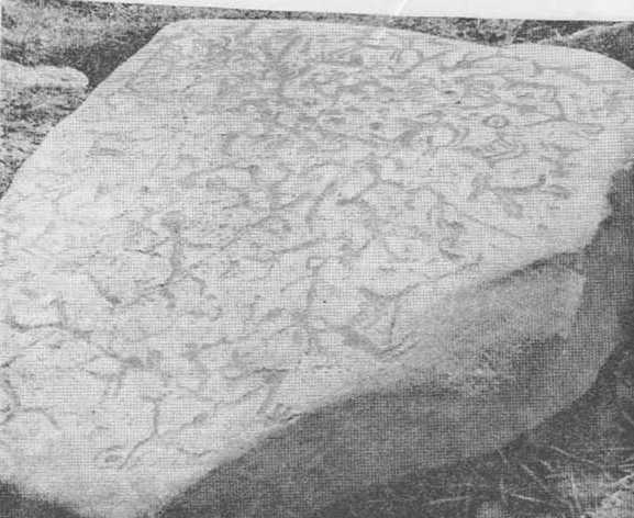 Петроглифы Поноя — рисунки животных на камне.